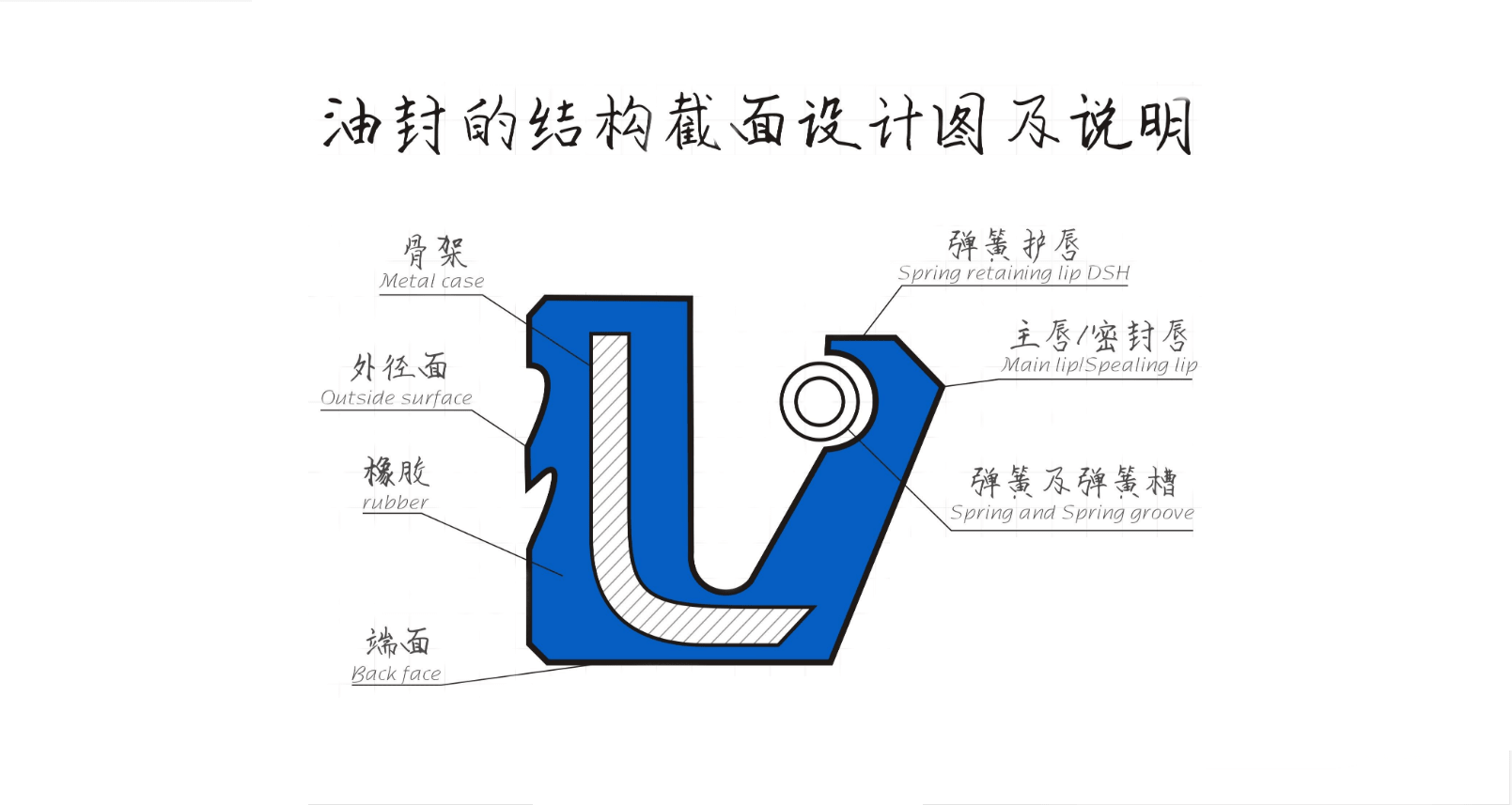 骨架油封的結(jié)構(gòu)部位的作用介紹